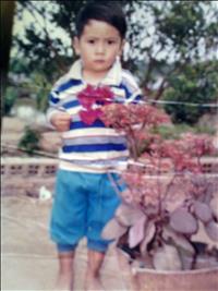 gia sư, dạy kèm