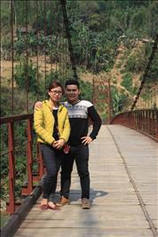 gia sư, dạy kèm