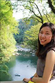 gia sư, dạy kèm