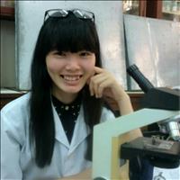 gia sư, dạy kèm