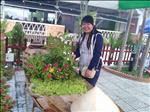 gia sư, dạy kèm