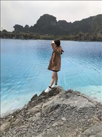 gia sư, dạy kèm