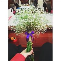 gia sư, dạy kèm