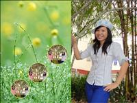 gia sư, dạy kèm